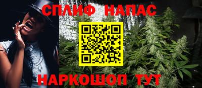 apvp Краснодар