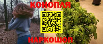 apvp Краснодар