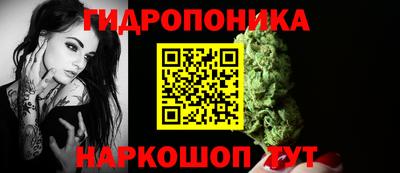 apvp Краснодар