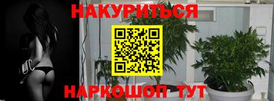 apvp Краснодар