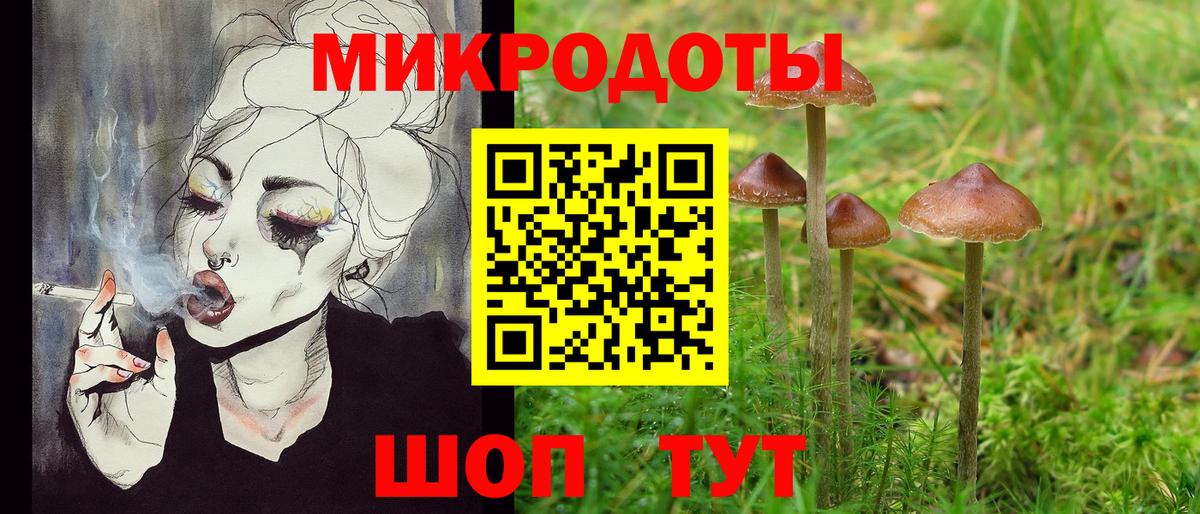 Галлюциногенные грибы Magic Shrooms  Псилоцибиновые грибы Psilocybe  Волгоград  Вход с VPN 