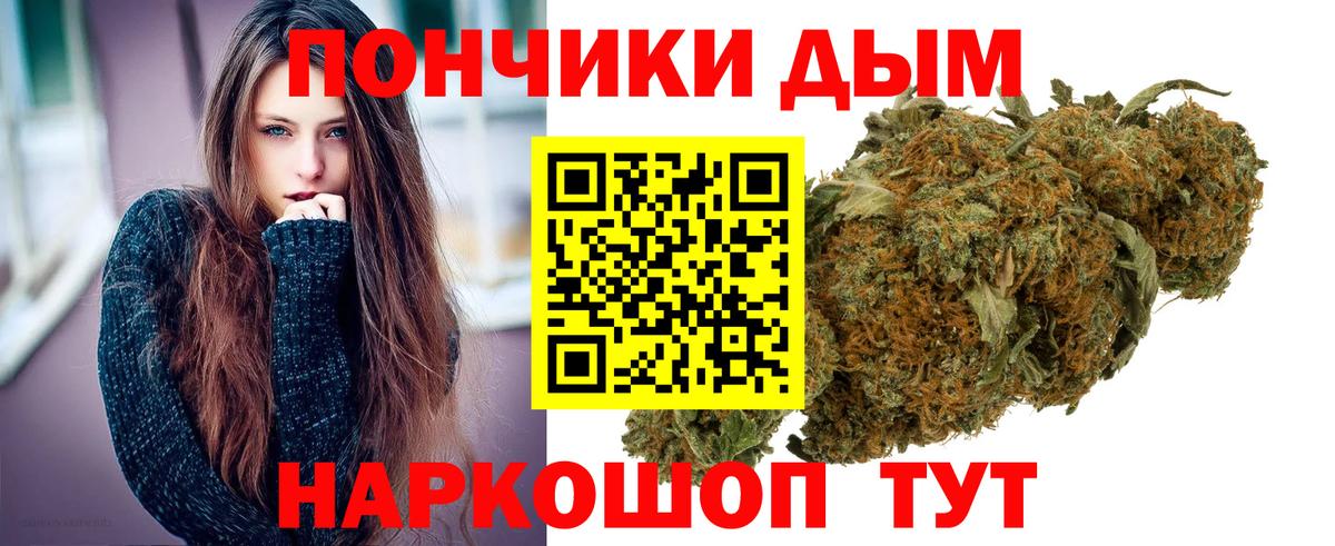 Марихуана конопля Волгоград